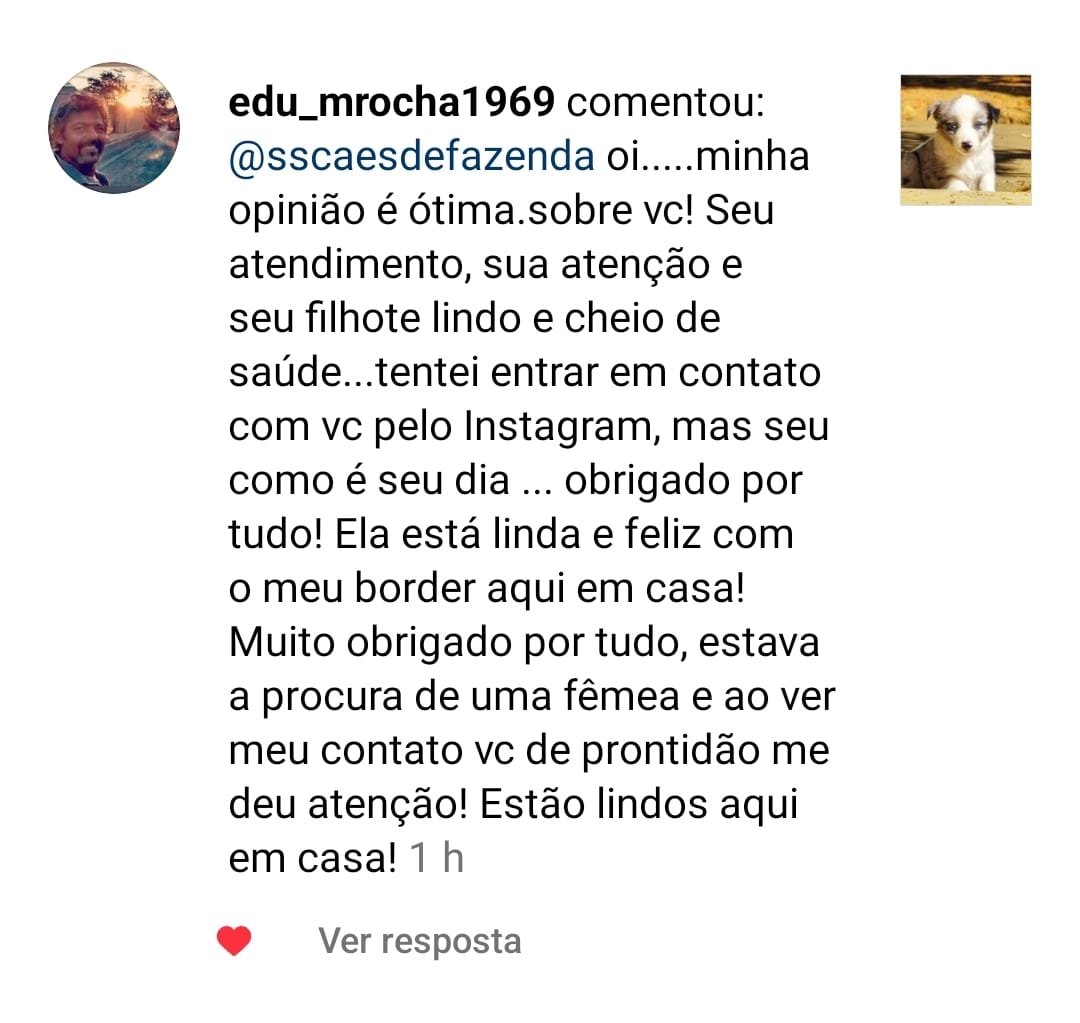 Imagem do WhatsApp de 2023-12-20 à(s) 12.35.58_dd943de8