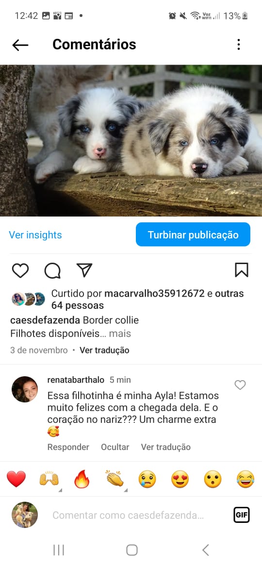 Imagem do WhatsApp de 2023-12-20 à(s) 12.35.59_5b8c4f8e